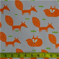 Canvas Printed Orange Fox