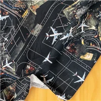Fabric Canvas Aeroplanes