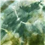 Winterwood Wool Felt Piece Hand Dyed Jungle