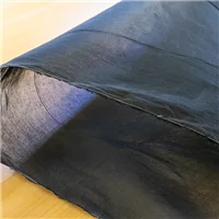 Fabric Organdy Black