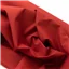 Homespun Ruby