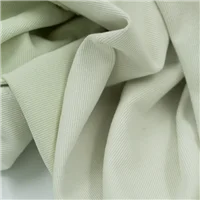 Fabric Cuban Pale Green Canvas
