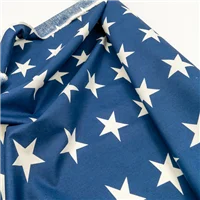 Fabric Craft Cotton Navy Star