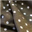 Fabric Iza Linen Khaki Spot