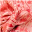 Fabric Sadie Jacquard Coral White - photo 2