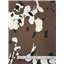 Fabric R8 954 Colour 1 - photo 1