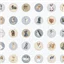 Animal Mwwhiskers Paws 10413z