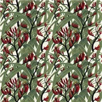 Kiwiana 81230 Harakeke Flax