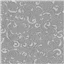 Kiwiana 85200 11 Moko Grey