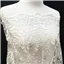 Fabric Lace Embroidered Tulle Off White - photo 1