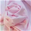 Winceyette Pale Pink - photo 1