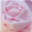 Winceyette Pale Pink - photo 2