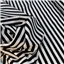 Knit Mini Raya Black White Stripe - photo 1